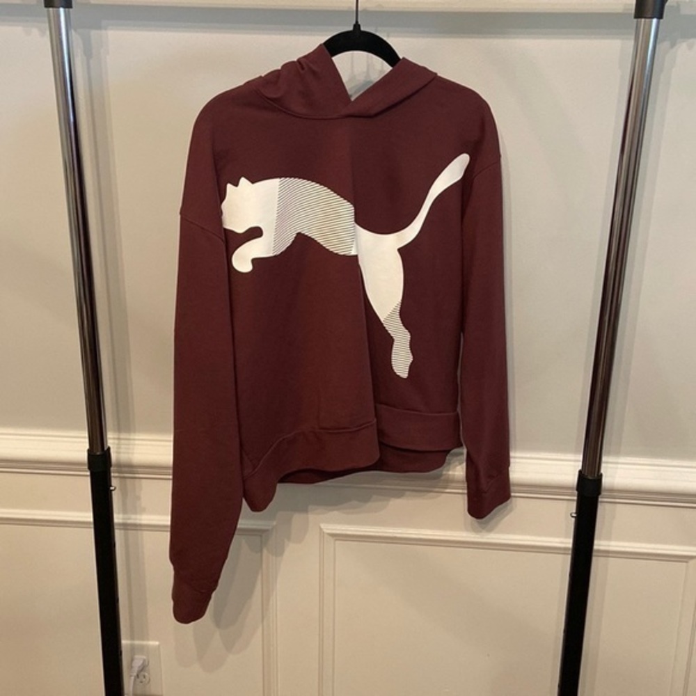 Puma Hooded Sweatshirt